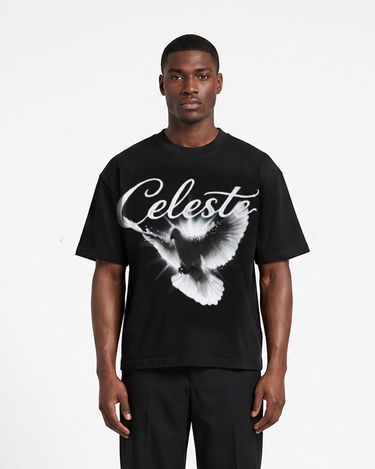 MIDNIGHT DOVE | OVERSIZED T-SHIRT