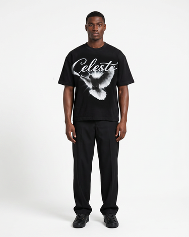 MIDNIGHT DOVE | OVERSIZED T-SHIRT