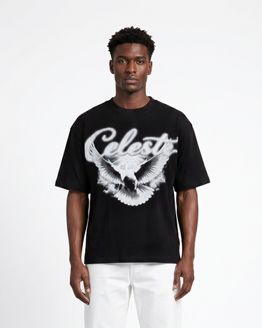 CELESTIAL FLIGHT | OVERSIZED T-SHIRT
